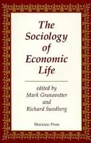 The sociology of economic life